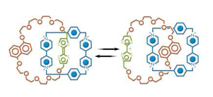 (그림 2) 분자 스위치^두개의 고리분자 중 왼쪽에 있는 것의 초록색 부분에서 전자 하나를 빼면, 이 중결합이 단일결합으로 되면서 (+) 전하를 띤다.