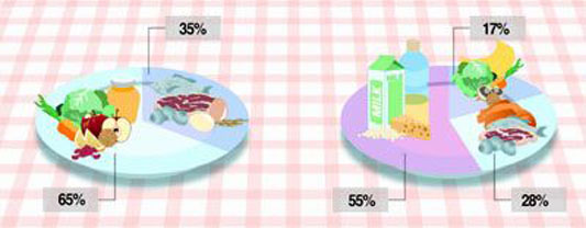 석기시대와 현대인의 음식 비교^석기시대 식사 65% - 과일, 야채, 견과, 콩, 꿀 35% - 기름 적은 고기, 달걀, 물고기, 어패류 현대 미국인의 식사 55% - 새로운 음식(곡물, 우유, 우유 가공식품, 설탕, 식물 성 오일, 알코올) 28% - 지방 많은 고기, 달걀, 물고기, 어패류 17% - 과일, 야채, 콩, 견과류