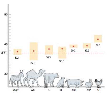 (그림) 동물의 체온^항온동물의 체온은 대개 37-40℃에 분포한다. 체구가 작을수록 체온이 높은 특징을 보인다.