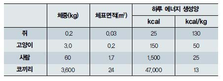 (표) 동물의 열발생량