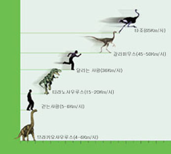 각종 공룡과 사람의 속도 비교