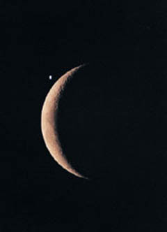 달 옆에 깜찍하게 보이는 금성. 달과 금성의 위상을 비교해보 면, 놀랍게도 금성의 모양이 달 과 꽤나 일치한다는 점을 알 수 있다.