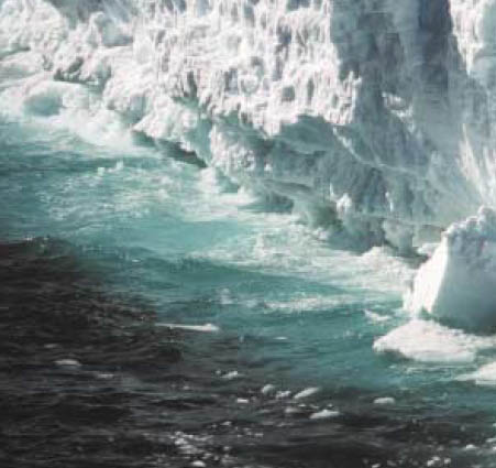 지구온난화 현상이 남극의 얼음을 녹이고 있다. 최근 사진과 과거 사진을 비교해보면 확실히 알 수 있다.