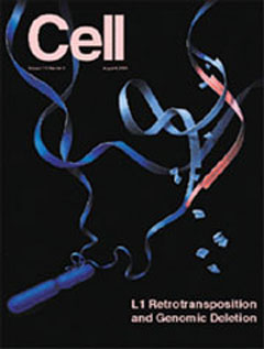 셀’의 표지 기사로 발표된 라인-1 정크 DNA의 모습. 염색 체상의 다른 자리로 점핑해 돌연변이를 유발한다.
