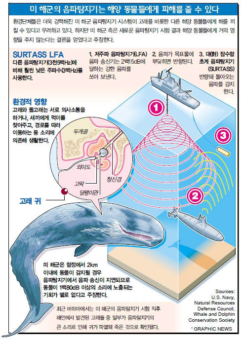 미 해군의 음파탐지기는 해양 동물들에게 피해를 줄 수 있다.