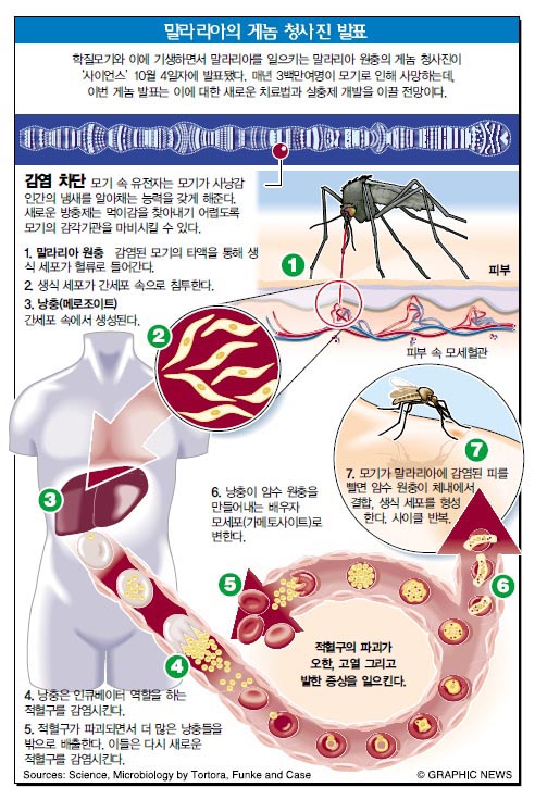 말라리아의 게놈 청사진 발표