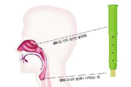 (그림 1) 발성기관과 피리의 관계