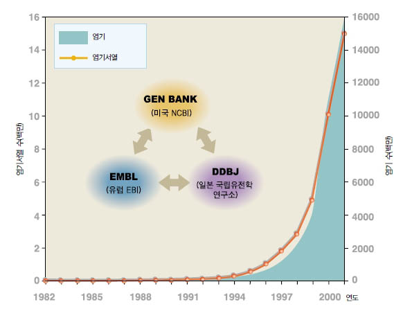 (그림 1) 게놈 데이터의 폭발적인 증가^세계 3대 게놈 데이터베이스는 서로 정보를 교환해 자료를 갱신하고 있다. 2002년 9월 현 재 1천8백19만7천여개 서열을 이루는 2백26억1천7백만여개의 염기에 대한 정보가 공개돼 있다. 데이터베이스의 자료량이 증가하고 있다는 사실은 동시에 정보 사이의 복잡성이 증가하고 있다는 의미다.