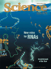 사이언스는 2002 년 과학계를 정리하 며 10대 주요 연구 성과를 선정했다. 그 중 최고의 업적으로 는 RNA 연구가 뽑혔다.