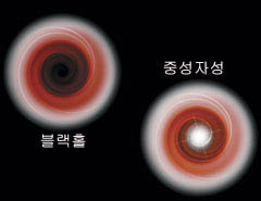 블랙홀과 중성자성으로 빨려드 는 물질에서 나오는 X선의 양상. 블랙홀의 사건 지평선에 서는 X선이 갑자기 사라지는 반면, 중성자성 표면에서는 X선이 밝아진다.