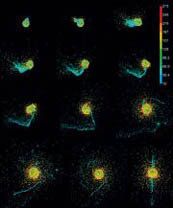 2001년‘네이처’8월 16일자에 실린, 달 탄생과정을 보여주 는 가장 정교한 컴퓨터 시뮬레이션. 파란색 입자와 진한 초록 색 입자는 응축된 물질을 나타내고, 붉은색 입자는 팽창 단계 나 뜨겁고 고압으로 응축된 단계를 의미한다. 시뮬레이션 결 과 지구에 화성 크기의 천체가 충돌하자 충돌체의 핵 물질은 지구 핵으로 흡수되고 지구와 충돌체의 암석물질은 주변으로 흩어져 달을 형성했다는 사실이 밝혀졌다. 마지막 그림만 옆 에서 바라본 모습이다.