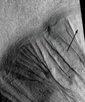 화성의 협곡 사진. 사진 속 화살표는 아직 녹지 않고 쌓여 있 는 눈을 가리킨다