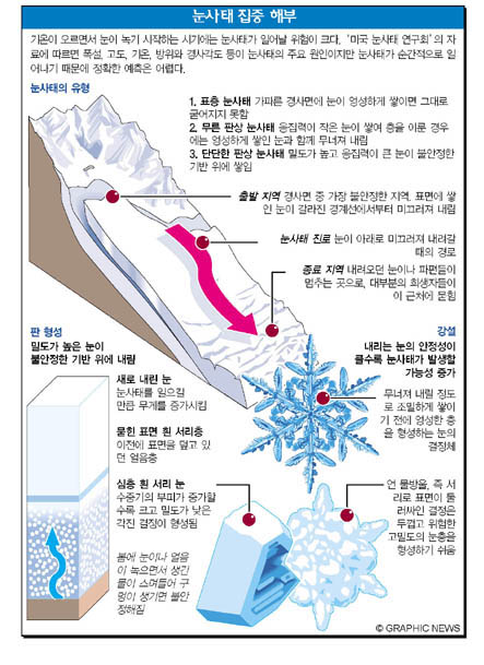 눈사태 집중 해부