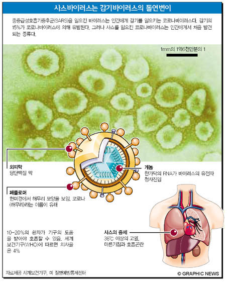 사스바이러스는 감기바이러스의 돌연변이