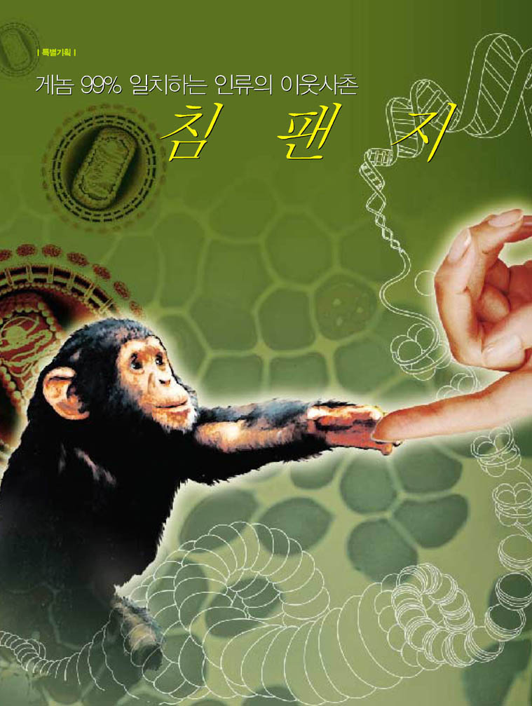 게놈 99% 일치하는 인류의 이웃삼촌 침팬지