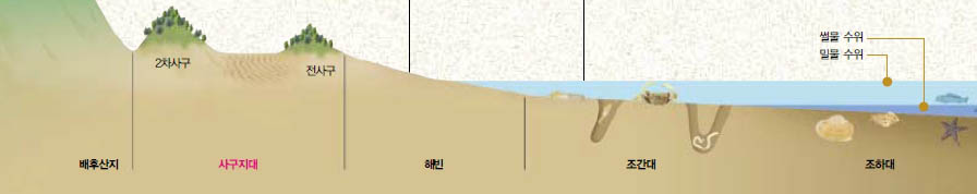 (그림2) 해안 지형의 단면