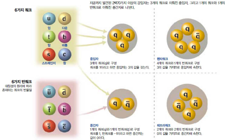 (그림2) 강입자의 2종류