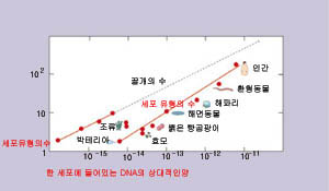 (그림4) 유전자 수와 세포 유형의 수 사이의 관계