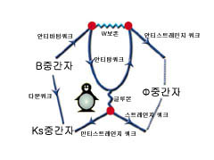 표준모형은 B중간자의 붕괴과정을‘펭귄 도식’으로 설명한다. 이번 실험은 펭귄 도식에 미지의 입자가 개입돼 있음을 암시한다.