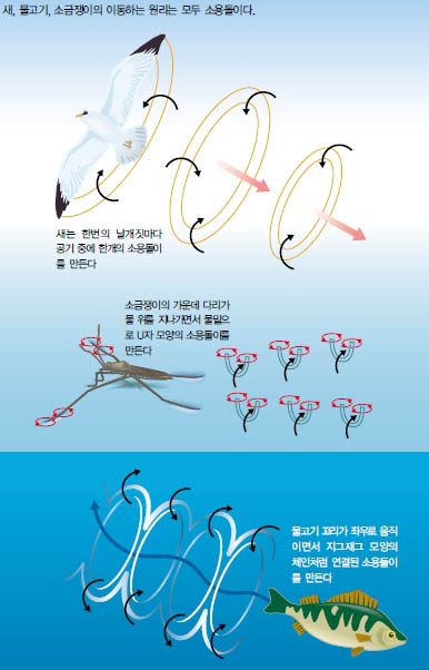 (그림2)물, 공기, 경계면에서 생물 체의 이동