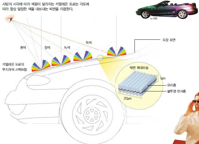(그림) 자동차에 칠한 카멜레온 도료