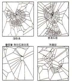 항정신성 약물에 노출된 거미가 지은 거미집의 모습