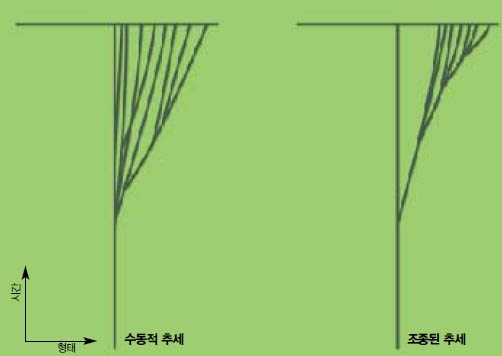 (그림2) 진화의  수동적 추세와 조종된 추세