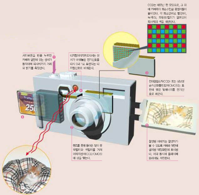 휴대용 디지털 카메라