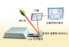 (그림 1)바이러스 검출 나노 다이빙대^항체와 결합한 바이러스가 나노 다이빙대 위에 있을 때 내는 특정 진동 주파수 분석.