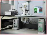세포분석팀의 레이저형광현미경. 왼편 아래쪽에 위치한 장비가 레이저 빔을 만들어 책상위에 놓인 현미경에 전달한다.