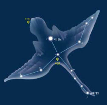 백조자리^북천의 십자가로 알려져 있는 백조자리는 백조가 날개를 펴고 날아가는 모습을 하고 있다. 흔히 사랑의 별자리로 알려져 있다.