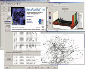 KAIST 대사공학 국가지정연구실에서 개발한 가상세포 프로그램 ‘메타플럭스넷’ 의 화면. 세포 내 대사과정을 실제처럼 시뮬레이션한다.