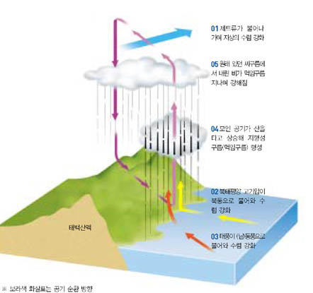 태풍 '루사'가 강릉에 폭우 뿌린 경로