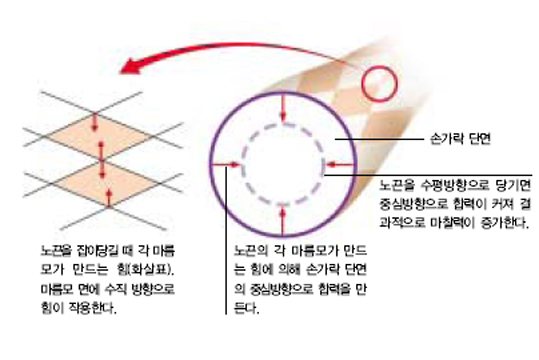 왜 손가락이 빠지지 않을까?