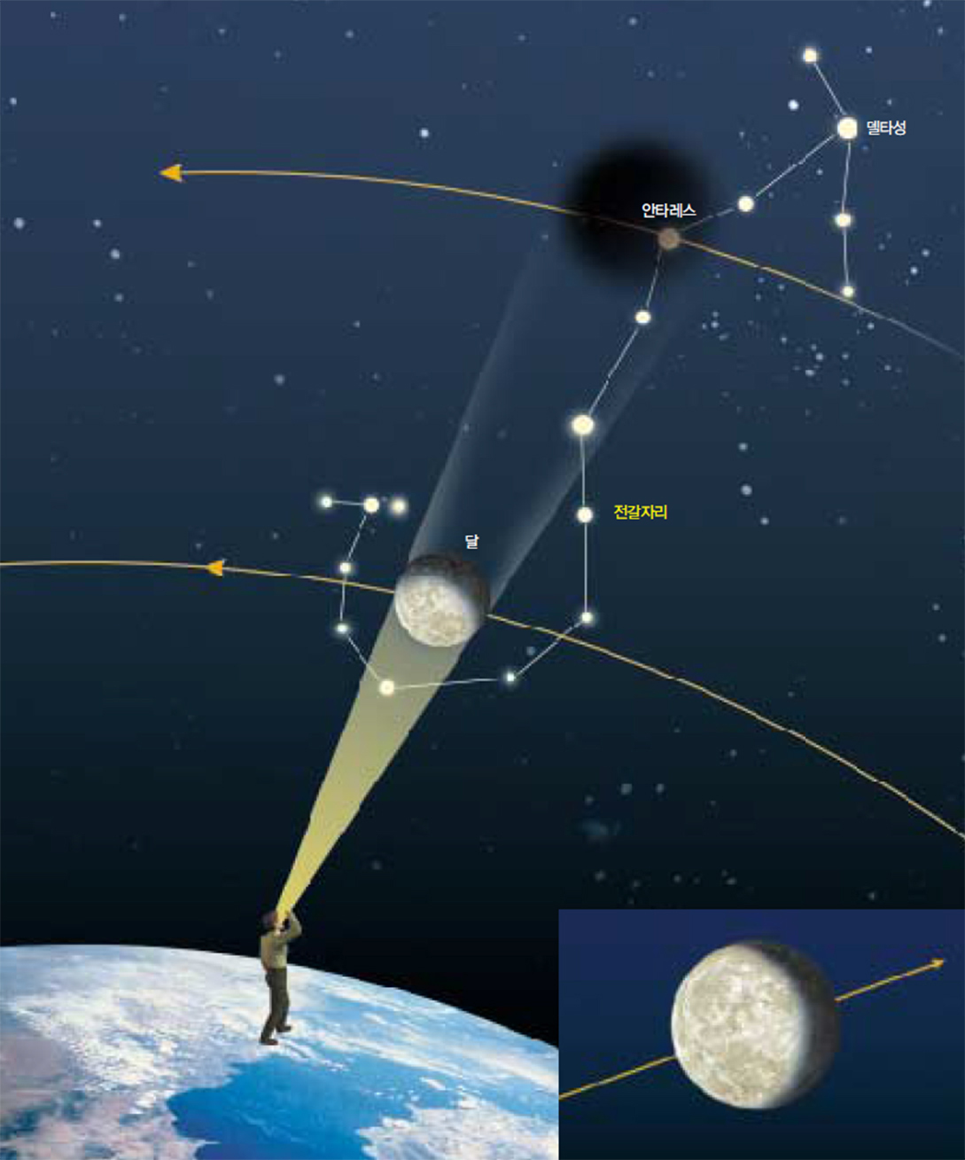성식이란 관측자가 볼 때 달이 가려져 벼링 보이지 않게 되는 현상이다. 31일 새벽에 있는 안타레스성식은 전가자리의 1등성 안타레스가 천구에 투영된 달 속에 들어있을 때 일어난다(큰 그림). 달과 별은 동쪽으로 이동하지만 달이 더 빨리 움직이므로 달의 위치를 고정하면 별이 서쪽방향으로 이동하는 것처럼 보인다. 이번 성식에서 안타레스의 이동궤적(작은 그림).