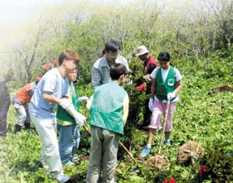 식목일에 나무를 심는 모습. 한국 숲은 한창 성장하고 있는 젊은 숲으로 다른 나라의 숲보다 이산화탄소를 잘 흡수하는 것으로 추정된다.