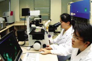 연구원들이 현미경을 들여다보며 MAGIC을 이용해 생체 분자 간의 결합을 연구하고 있다.