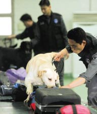 복제개는 사람의 질병을 연구하는데 이용할 수 있다. 또 멸종위기 동물이나 마약탐지견 등 특수능력을 갖춘 개를 복제하는데 쓸 수도 있다.