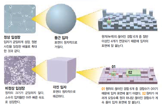 비정상 입성장 원리