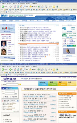 '전문 네티즌의 힘.' 논문 조작 논란을 촉발시킨 생물학연구정보센터 '브릭'(위)과 젊은 과학기술자 모임인 한국과학기술인연합 사이트.