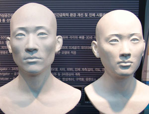 과학동아는 창간호를 비롯해 여러 차례 한국인에 대한 기사를 썼다. 사진은 2004년 한국과학기술정보연구원에서 만든 한국인의 평균 얼굴 모습.