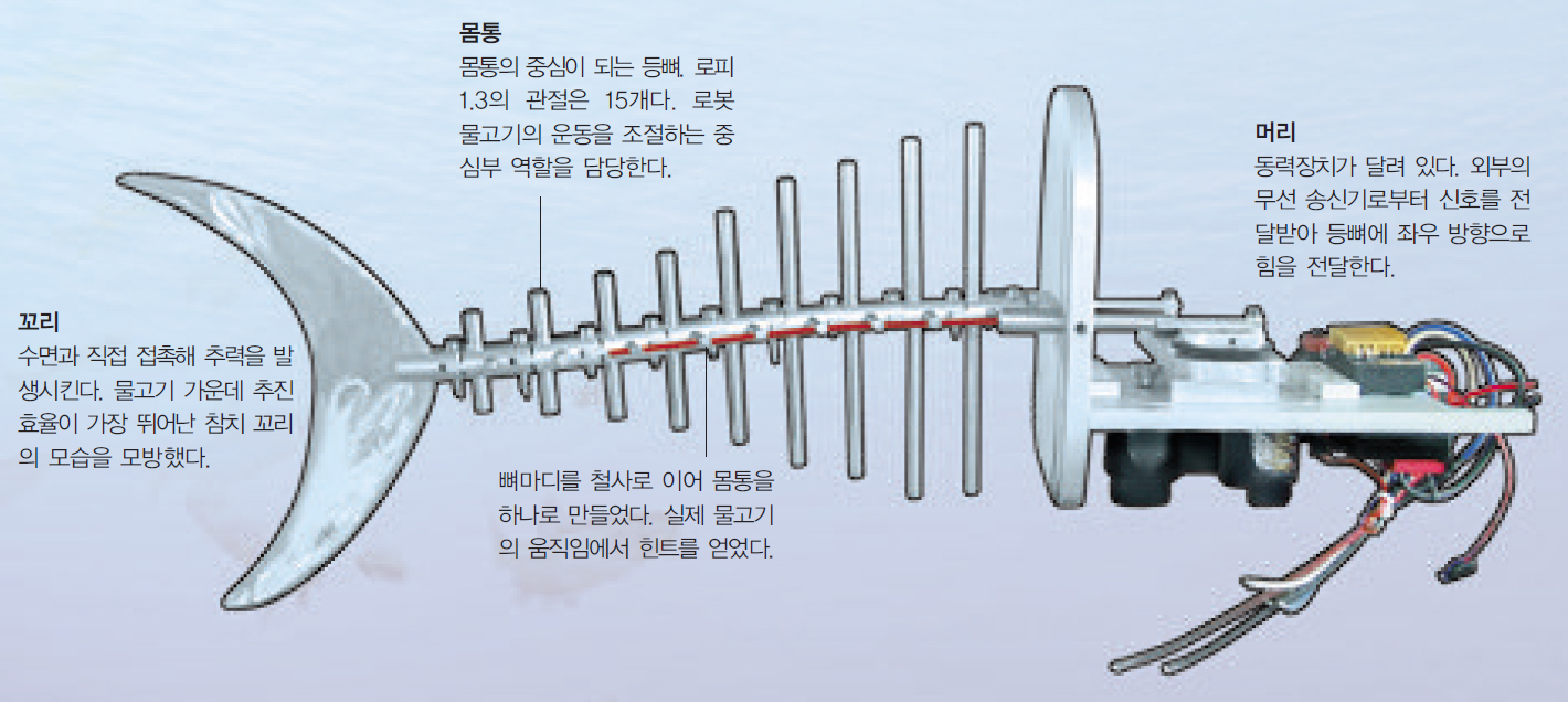 로피의 구조^로피는 크게 머리, 몸통, 꼬리 세부분으로 나뉜다. 길이 94cm, 무게 12kg으로 물 속에서 안전하게 움직일 때의 속력이 초당 1.5m다. 1초에 3m까지 움직일 수 있다.