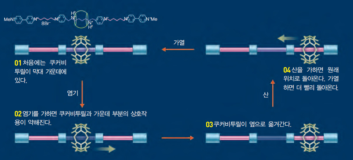 쿠커비투릴 분자기계^분자 막대에 끼운 쿠커비투릴은 여러 가지 작그을 주면 스스로 움직이는 미세한 기계가 된다.