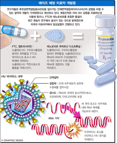 에이즈 예방 치료약 개발중