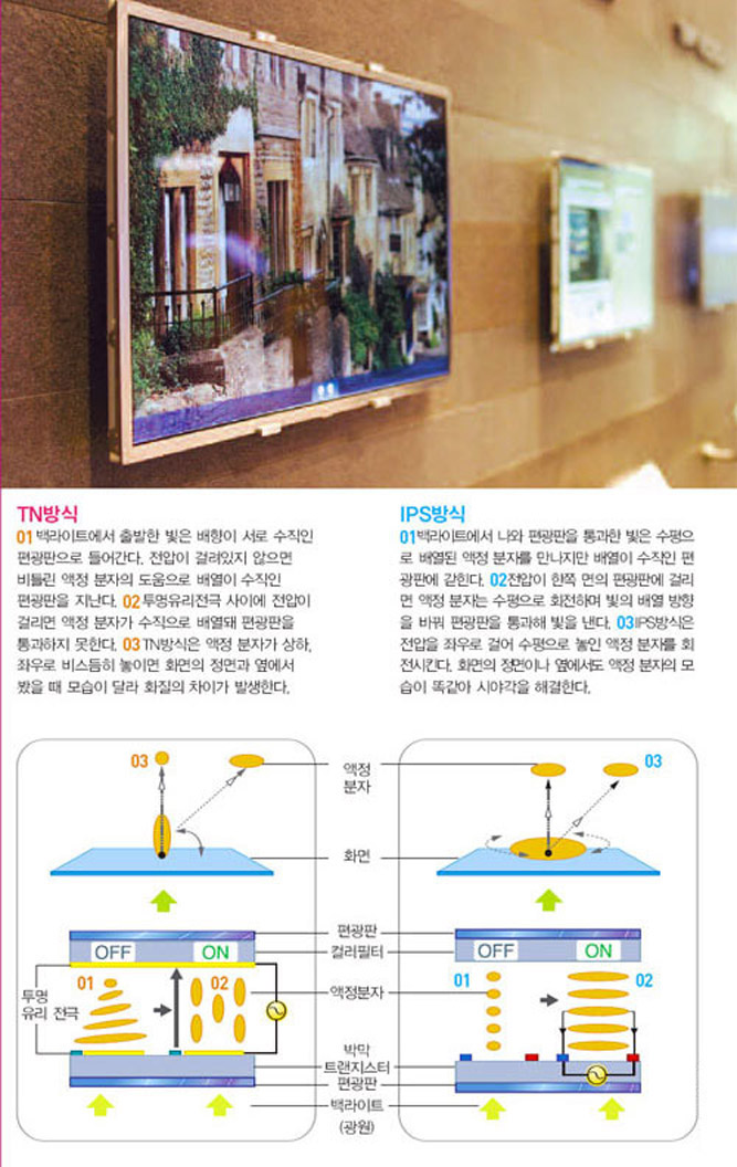 TN방식과 IPS방식