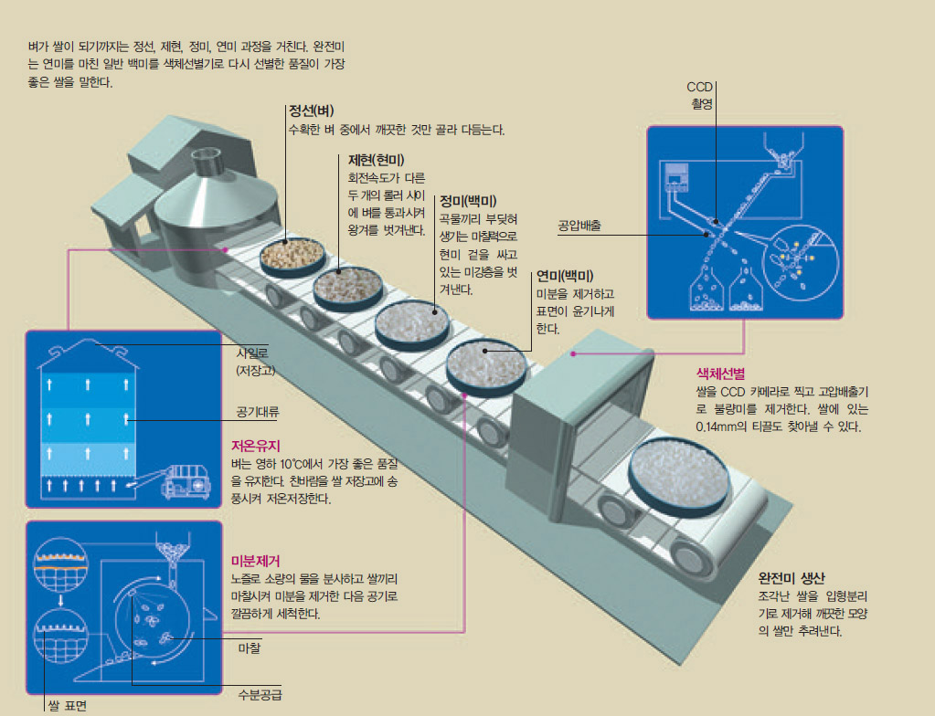 완전미 생산 미곡종합처리시스템(RPC)