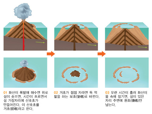 산호초의 형성과정