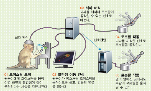 BMI 원숭이 실험^원숭이 뇌파를 이용해 로봇팔을 움직이는 실험. 뇌파를 해석한 신호를 인터넷을 통해 공유하면 멀리 떨어진 곳의 로봇팔도 똑같이 움직일 수 있다. 