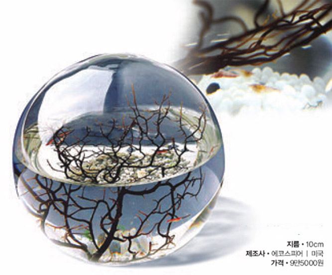 에코스피어(Ecosphere)