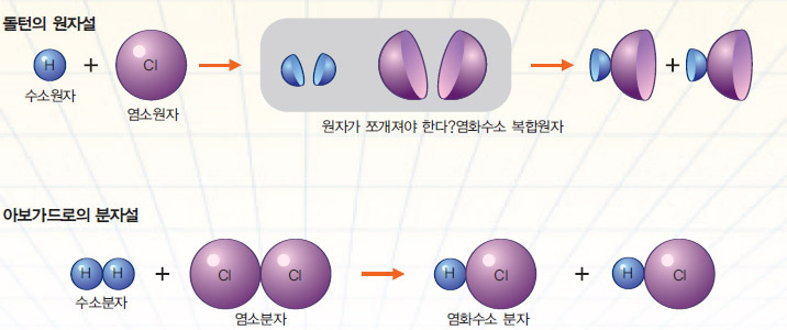 원자설 vs. 분자설^수소와 염소가 반응해 염화수소를 만들 때 반응하는 기체의 부피 비는 수소:염소:염화수소=1:1:2이다. 돌턴의 원자설에 따르면 수소원자와 염소원자 1개가 둘로 쪼개져야 하는 문제가 생기지만, 아보가드로는 수소기체와 염소기체를 각각 원자 2개로 이뤄진 분자로 가정해 이 문제를 해결했다.